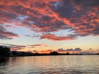 Kadootje in Erétria - Evia  Griekenland 