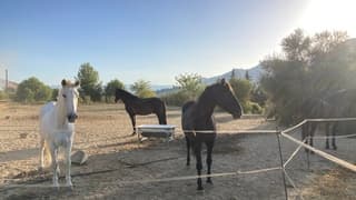 Strakblauw en het wordt 29 C in Spanje.