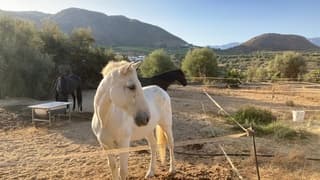 Het wordt weer een warme dag (29 C)