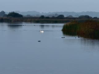 Stilte in de ochtendnevel