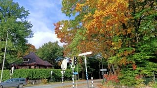 Tijdelijke opklaringen 