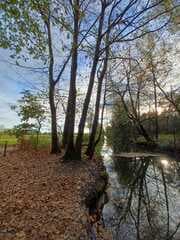 Grote Fossé in Lommel Kolonie