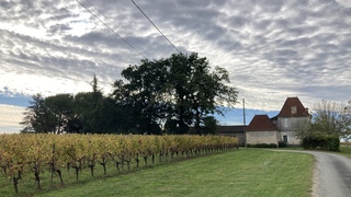 Druivenveld met bijbehorend Chateau.
