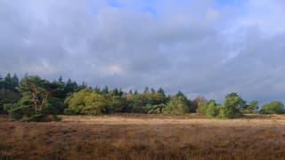 Een 'streepje' zon vlak voordat het flink zou gaan regenen