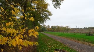 Herfstachtig grijs vandaag