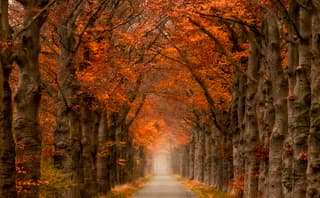 De herfstkleuren zijn nu nog prachtig.