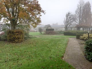 Mistig