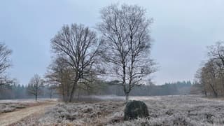 Weerdinge, Drenthe. Wat was het koud vandaag.