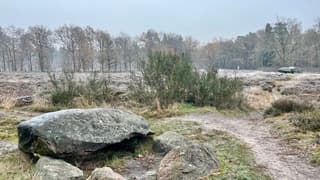 Weerdinge, Drenthe. Hunebedden in een “winters” landschap.  