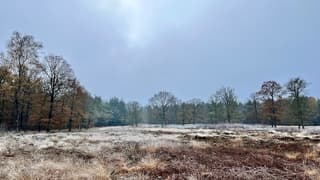Weerdinge, Drenthe. Een ijzige dag met heel even een glimp van een waterig zonnetje.