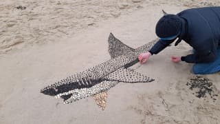 Strandvertier op eerste kerstdag
