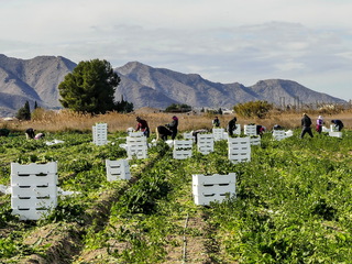 Vrij zonnig weer met sluierwolken