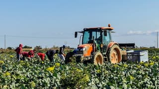 Mooie vrij zonnige dag  