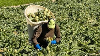 Mooie vrij zonnige dag  