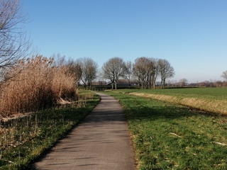 blauwe lucht