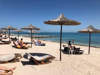 Zonovergoten maandag op Sir Bani Yas 