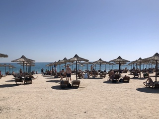 Beach day