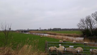 In het noorden een grijze dag foto 3