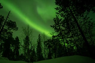 Noorderlicht