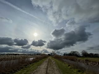 Wijdse Wolken