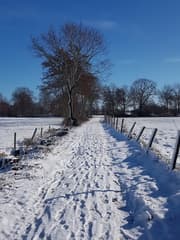 Sneeuw in Harkema