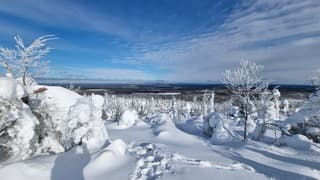 Winterlandschap