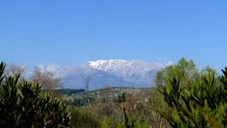 Dicht bij Delphi vanmiddag 