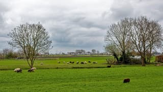 Kil en koud in de polder