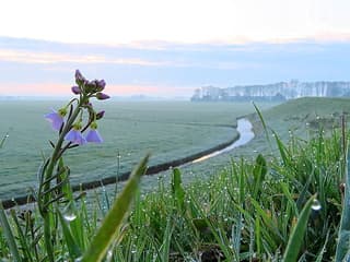 Terwijl Pasen nog moet beginnen.