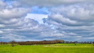 Mooi Nederland! Koeien lopen in de wei en prachtige wolken aan de hemel. Gelukkig is het de hele dag droog gebleven.