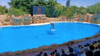 Strakke blauwe lucht 