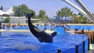 Zonovergoten dag op Tenerife