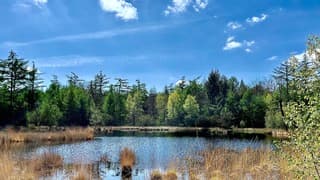Wat een mooie lentedag. De bomen krijgen weer frisse jonge bladeren. Kortom…genieten!