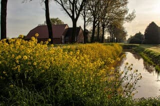 beetje zon en beetje bewolking