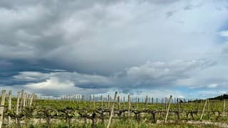 Bewolking boven wijnvelden Zuid-Frankrijk