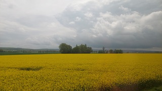 Met de ICE onderweg en van het uizicht genieten.