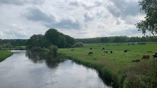 Ochtend bij de Essche Stroom in … Esch