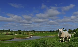Blauw met schapenwolkjes.
