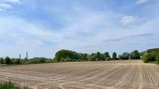 De akker ligt er mooi bij 