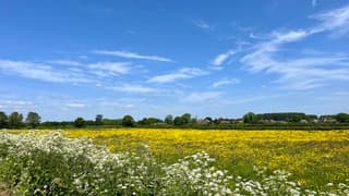 explosies van kleur hier langs het klompenpad 