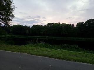 Goedemorgen bij de zonsopkomst van Beekse Bergen dag 3