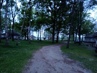 Goedemorgen bij de zonsopkomst van Beekse Bergen dag 3