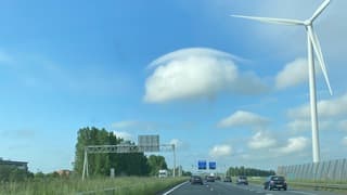 Pileus kapje boven wolk.