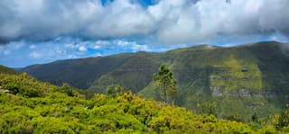 Natuurfoto op Madeira 