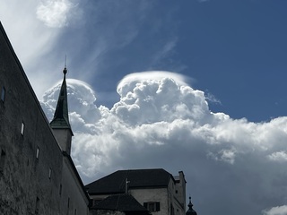Mooi lenticularus