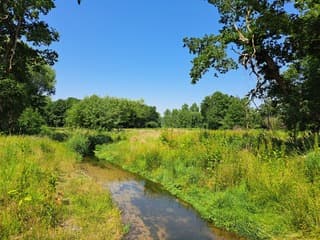 Net over de grens in Duitsland 