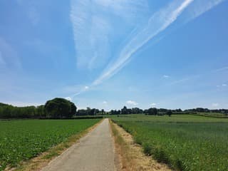Zonnig met wat sluierbewolking 