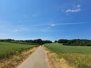 Zonnig en broeierig warm 