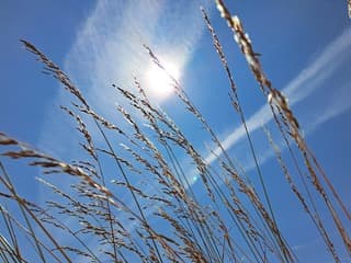 Zon en sluierbewolking 