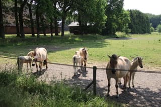 Mooie dag in Taarlo foto3